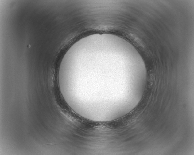 X0000074310544200609230003