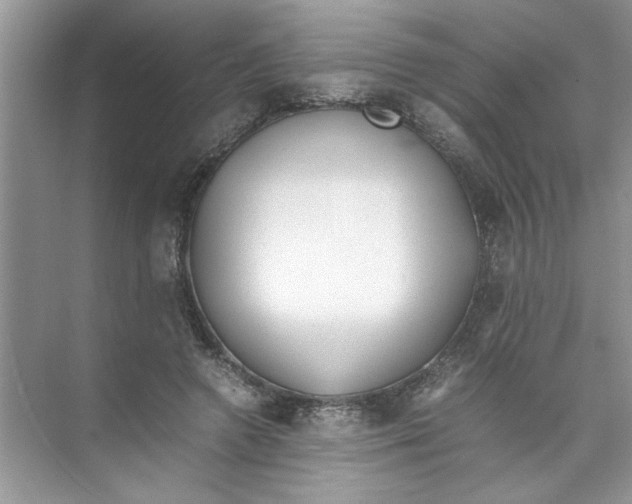 X0000074310546200609230003