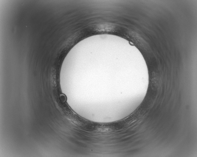 X0000074310547200609230003