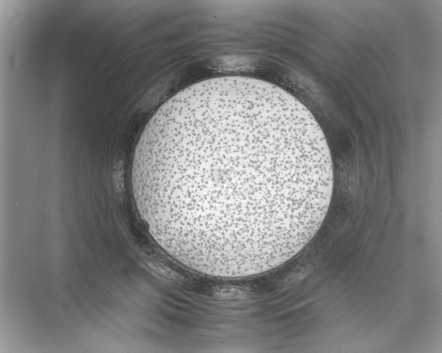 X0000074310549200609230003