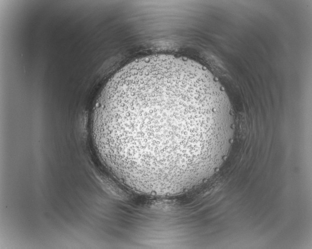 X0000074310550200609230003