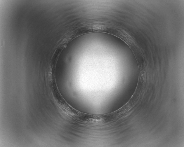 X0000074310552200609230003