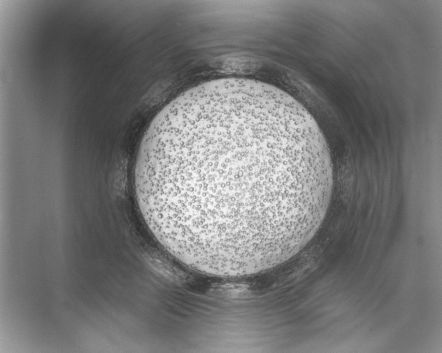 X0000074310554200609230003