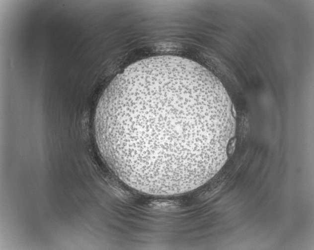 X0000074310557200609230003