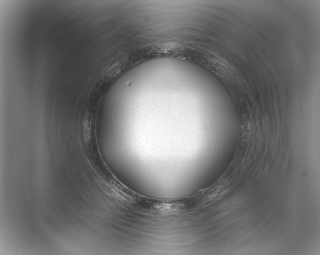 X0000074310558200609230003