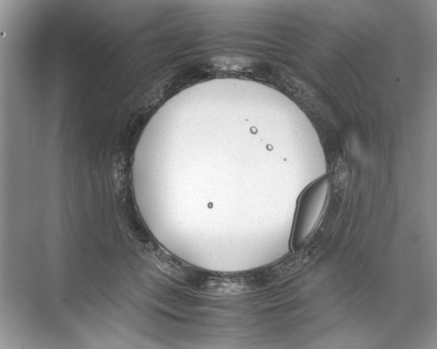 X0000074310559200609230003