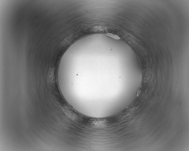 X0000074310560200609230003