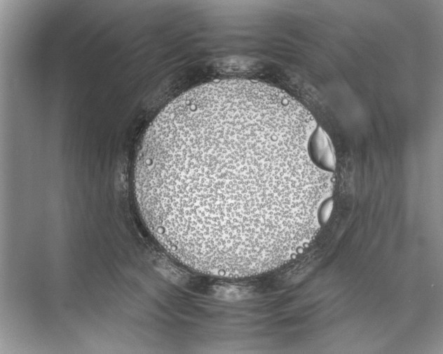 X0000074310561200609230003