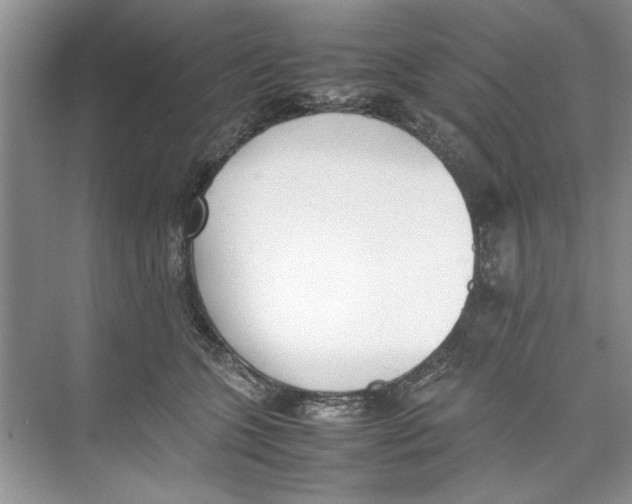 X0000074310563200609230003