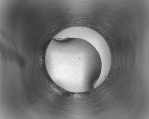 X0000074310566200609230004