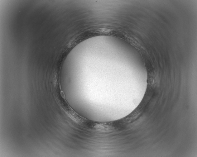 X0000074310568200609230004