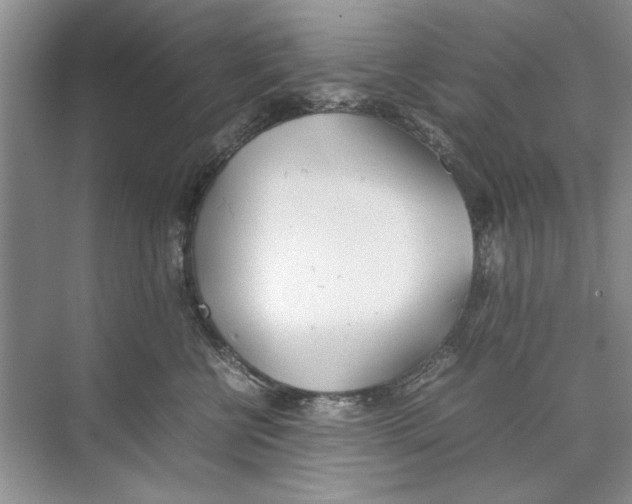 X0000074310570200609230004