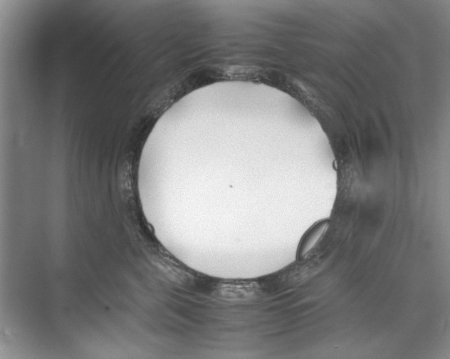 X0000074310571200609230004