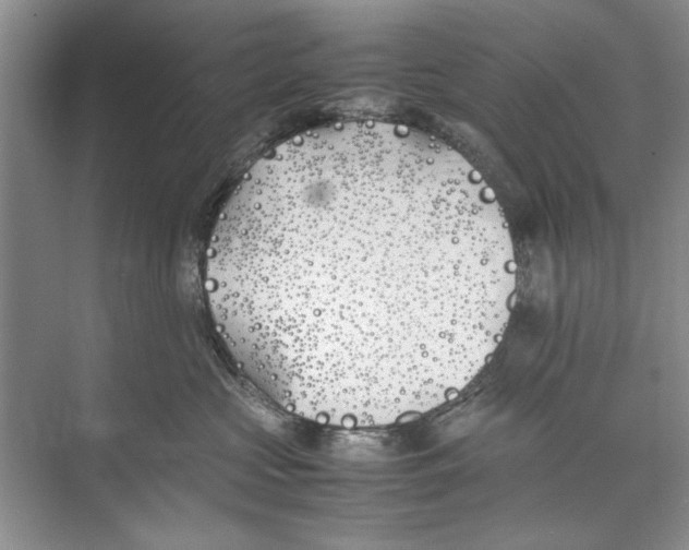 X0000074310573200609230004