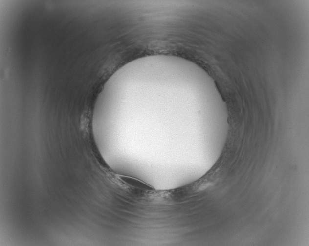 X0000074310576200609230004