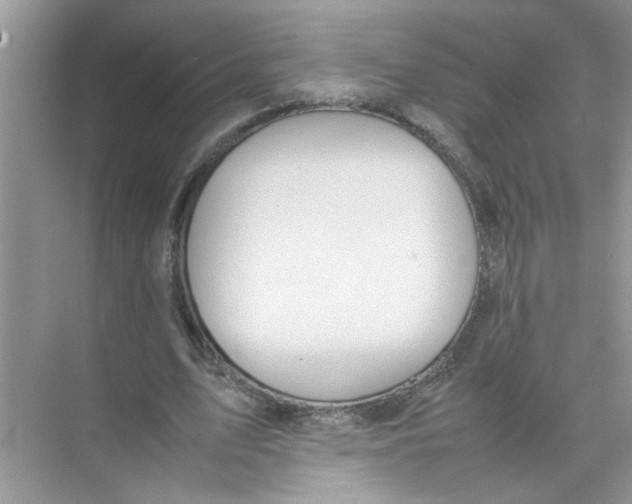 X0000074310583200609230003