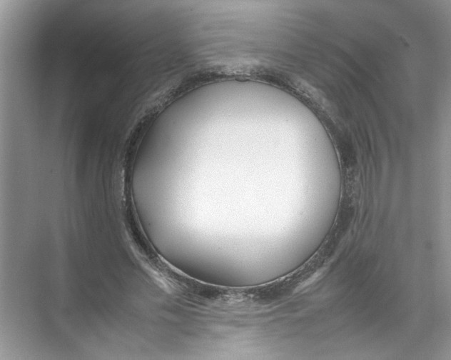 X0000074310589200609230003