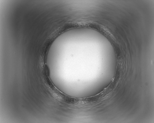 X0000074310593200609230003