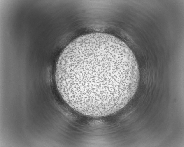 X0000074310594200609230003