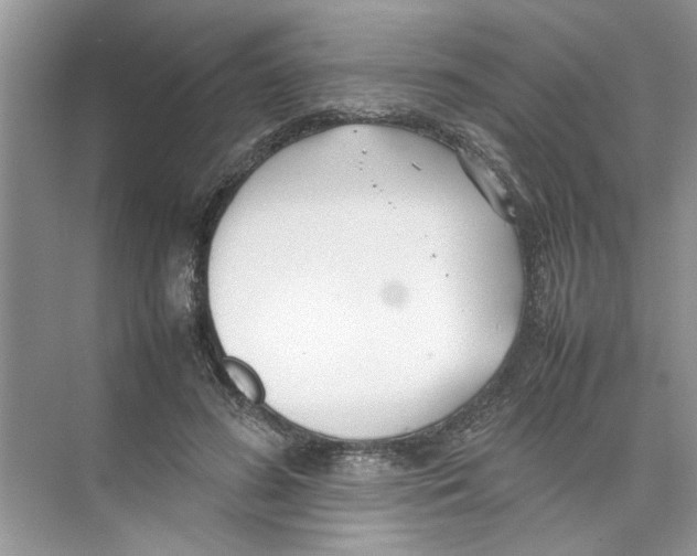 X0000074310596200609230003