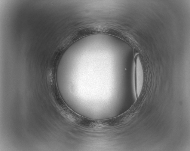 X0000074310597200609230003