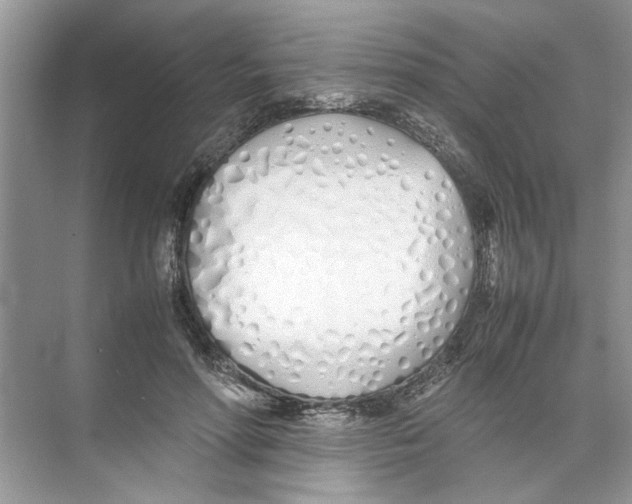 X0000074310598200609230003