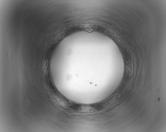 X0000074310605200609230002