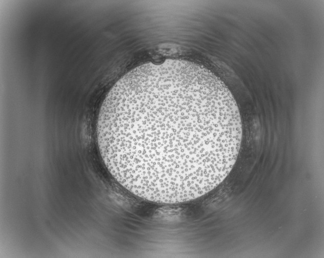 X0000074310606200609230002