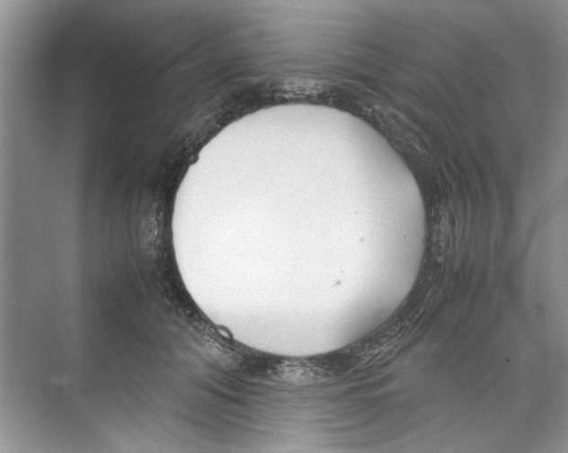 X0000074310608200609230002