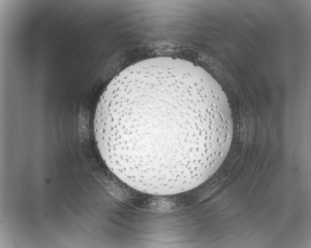 X0000074310610200609230002