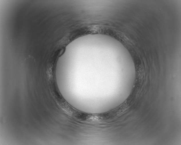 X0000074310611200609230002