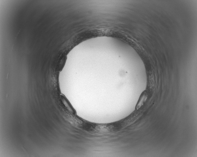 X0000074310613200609230002