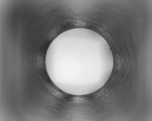 X0000074310614200609230002