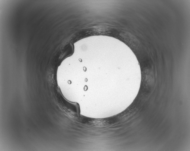 X0000074310615200609230002