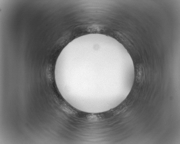 X0000074310616200609230002