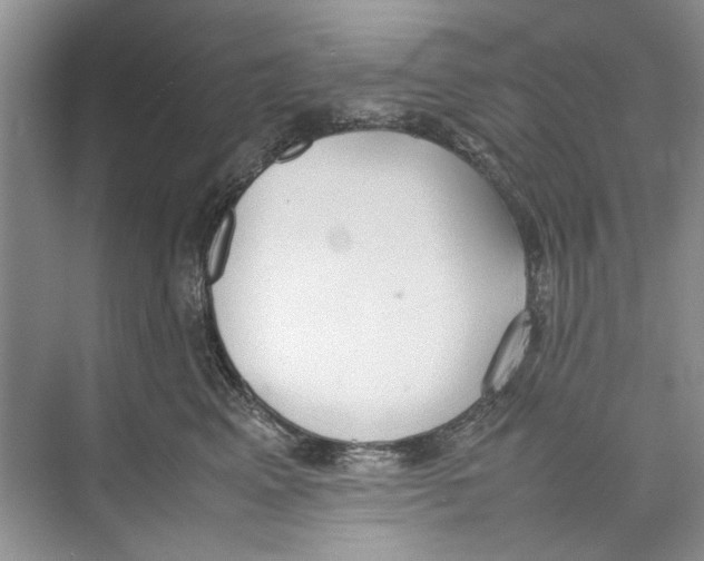 X0000074310617200609230002