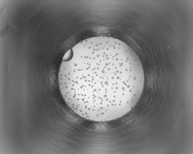 X0000074310618200609230002