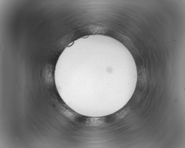 X0000074310622200609230002