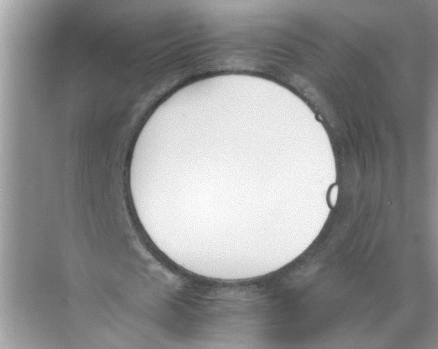 X0000074310625200609230001