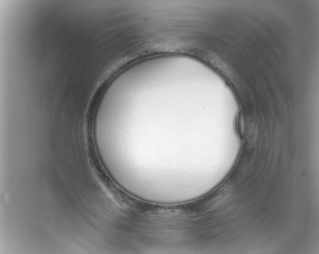 X0000074310626200609230001