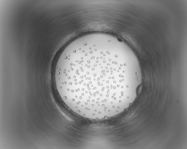 X0000074310630200609230001