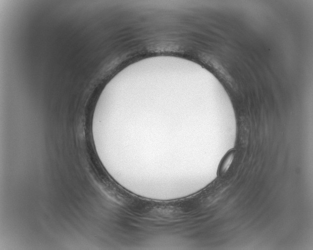 X0000074310631200609230001