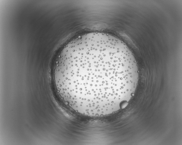 X0000074310634200609230001