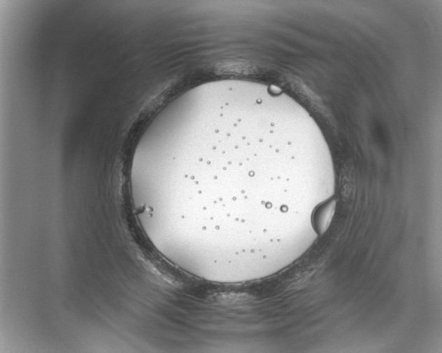 X0000074310637200609230001