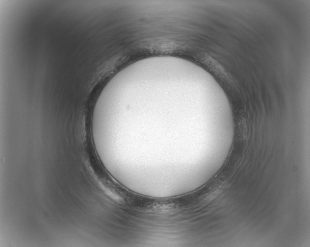 X0000074310638200609230001