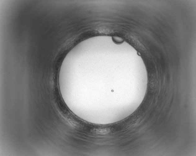 X0000074310639200609230001