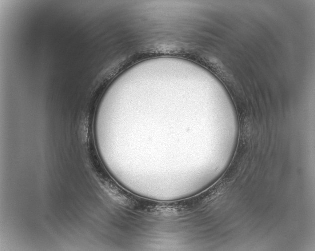 X0000074310640200609230002