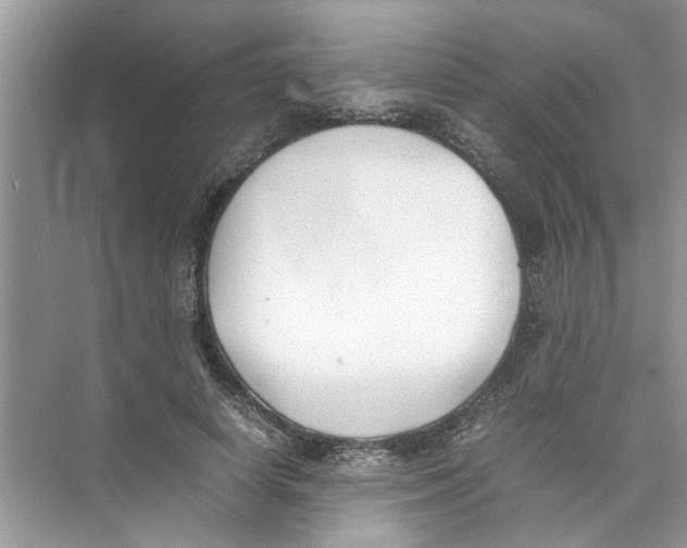 X0000074310642200609230002