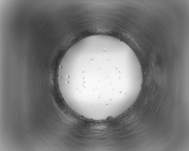 X0000074310643200609230002