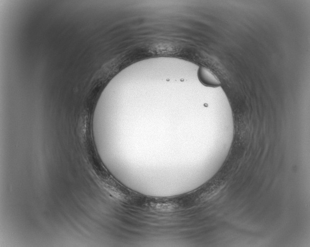 X0000074310645200609230002